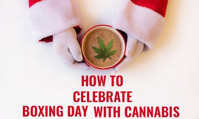 Celebrate Boxing Day with Cannabis