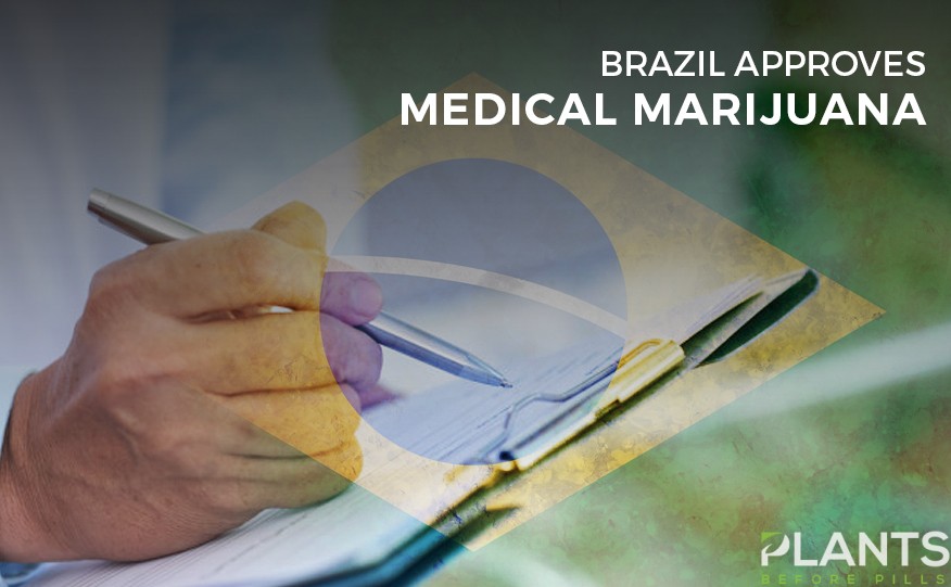 Brazil Approves Medical Marijuana