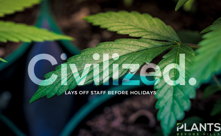 Civilized Life Mag - Laid Off Staff