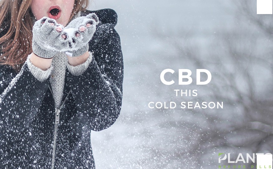 Cold Season Activities to Do with CBDCold Season Activities to Do with CBD