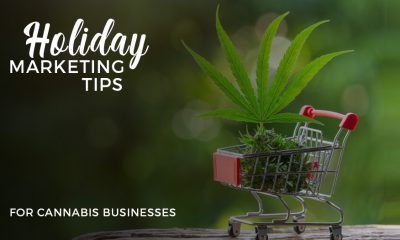 Cannabis Businesses Marketing Tips
