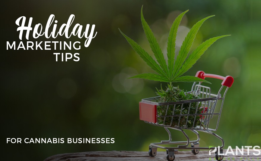 Cannabis Businesses Marketing Tips