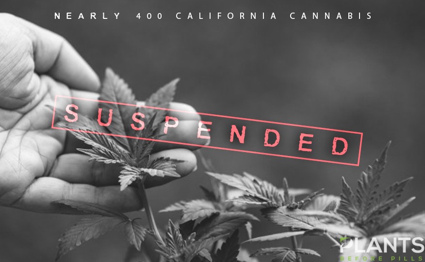 California Suspended Cannabis Licenses