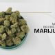 Recreational Marijuana Sales in Michigan