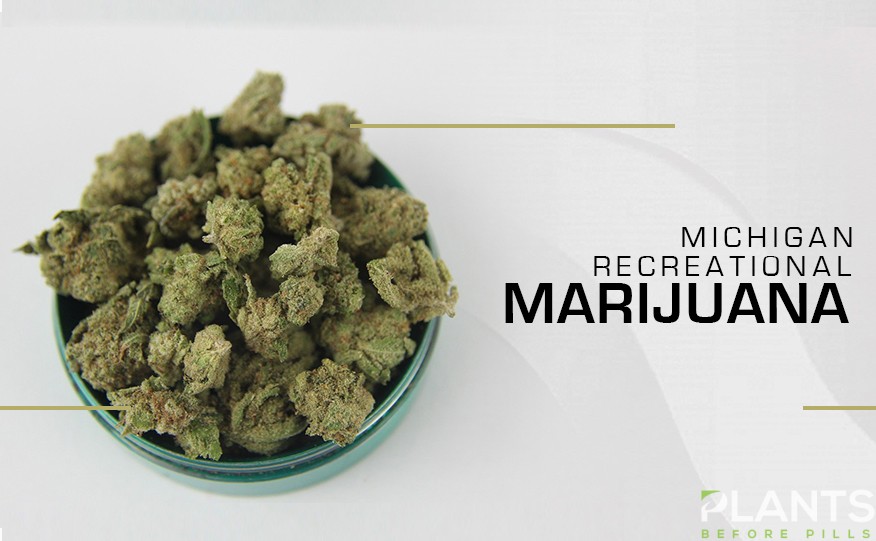 Recreational Marijuana Sales in Michigan