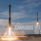 SpaceX to Bring Cannabis Delivery to Space