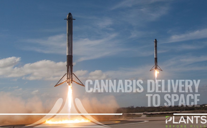 SpaceX to Bring Cannabis Delivery to Space