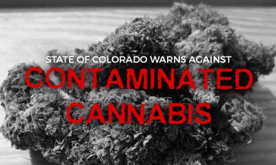 State of Colorado Warns Against Contaminated Cannabis