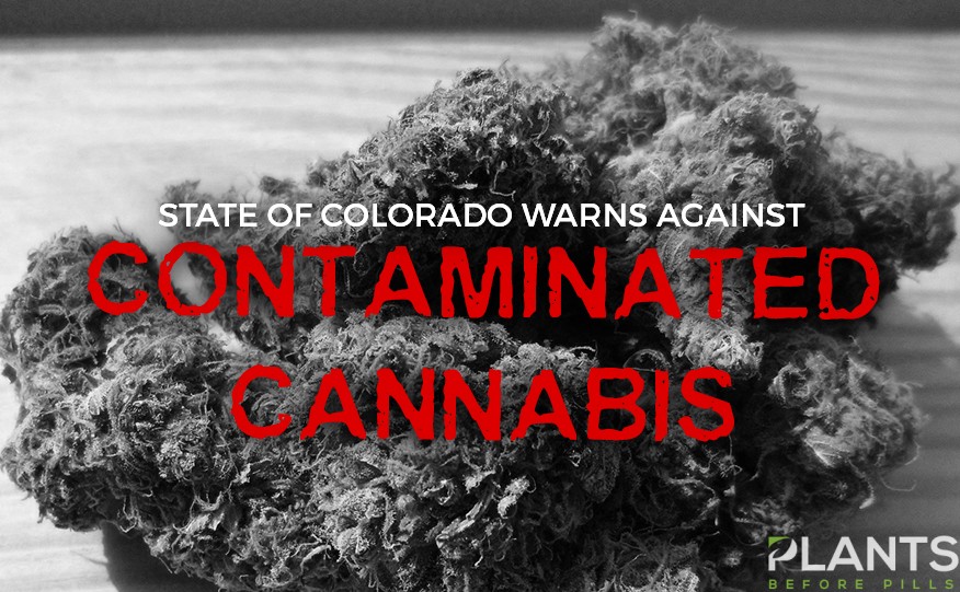 State of Colorado Warns Against Contaminated Cannabis
