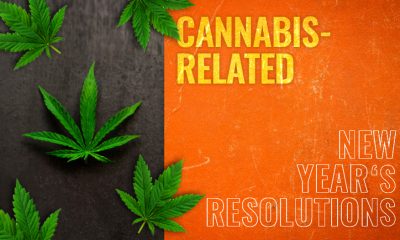 Cannabis Related New Year's Resolution