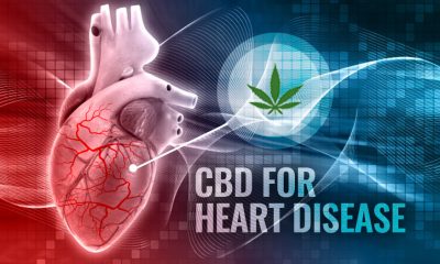 CBD for Heart Disease, Medical Marijuana