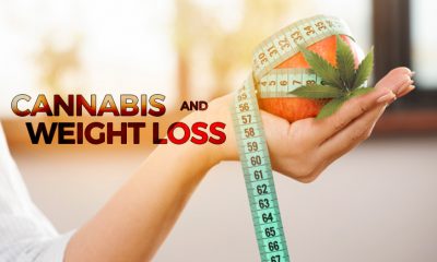 Cannabis, Marijuana and Weight Loss