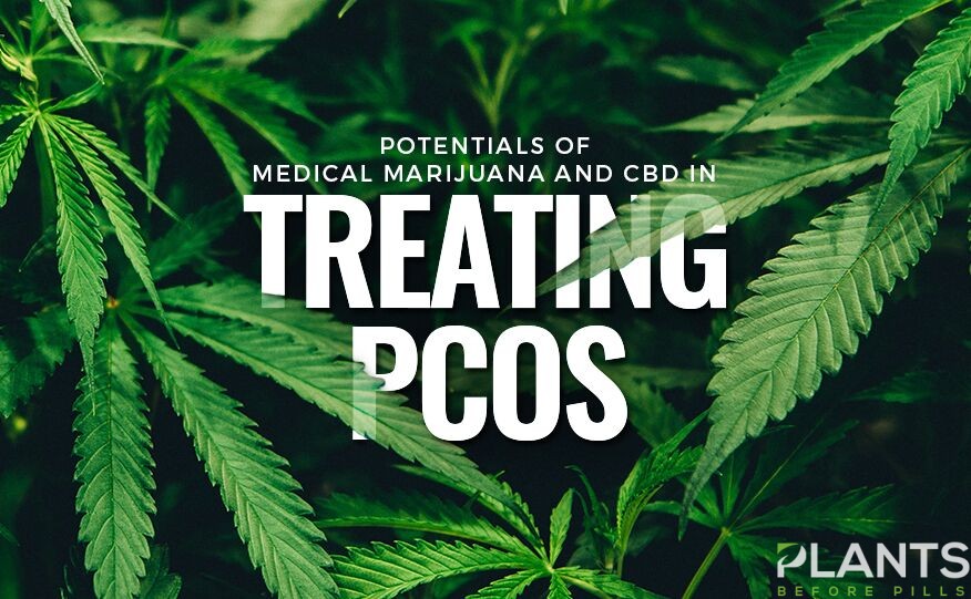 Medical Marijuana, CBD, and PCOS