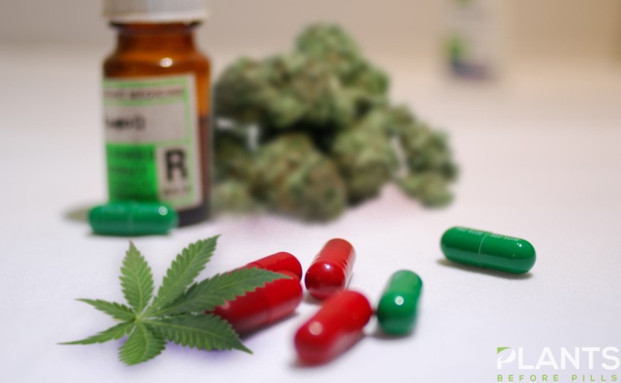 Medical Marijuana Now Free in Sicily