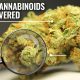New Cannabinoids Discovered