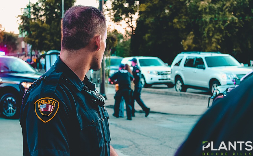 Unlicensed Cannabis Dispensaries Raided in LA’s biggest Crackdown