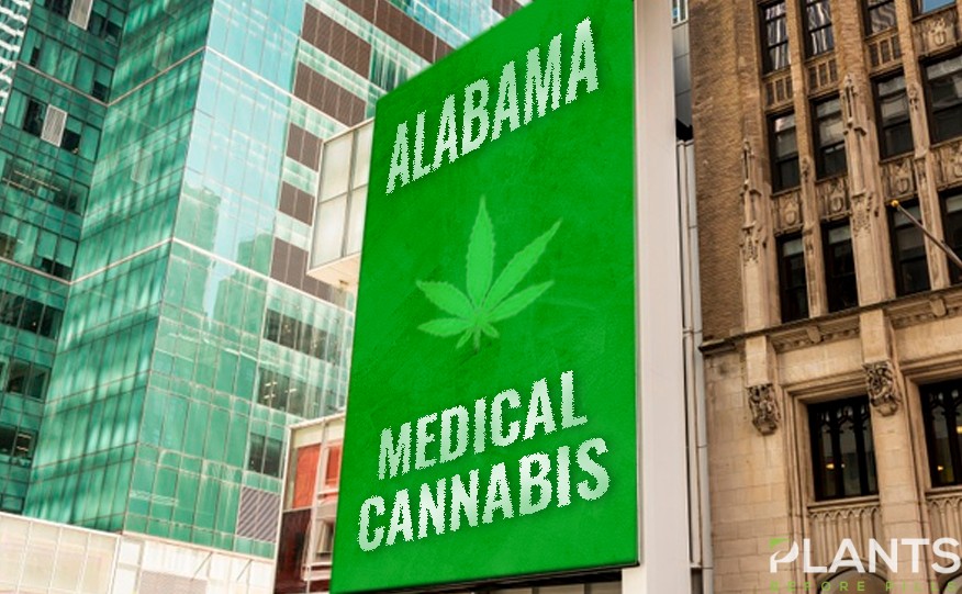 Medical Marijuana in Alabama