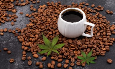 Cannabis Coffee in Indonesia