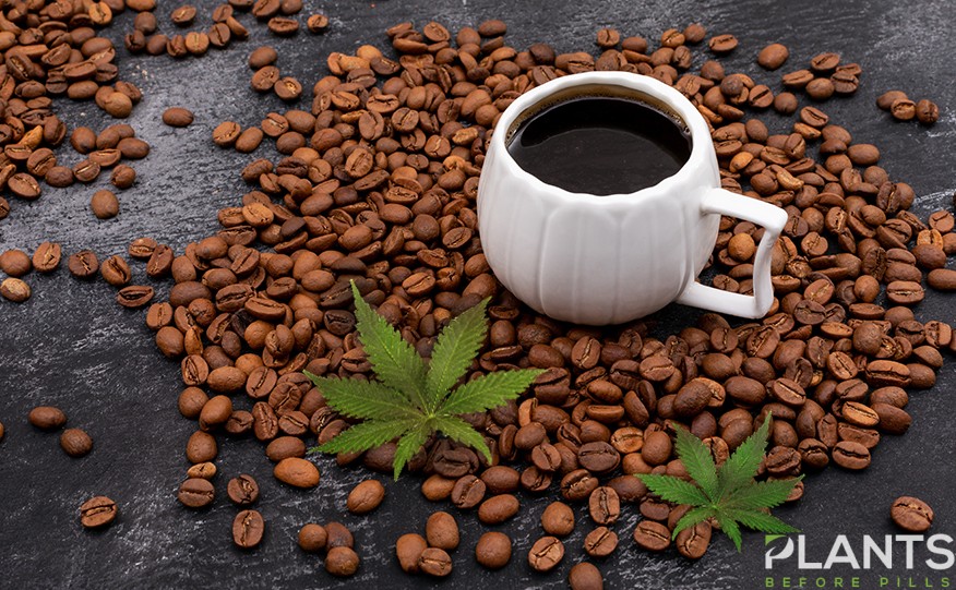 Cannabis Coffee in Indonesia