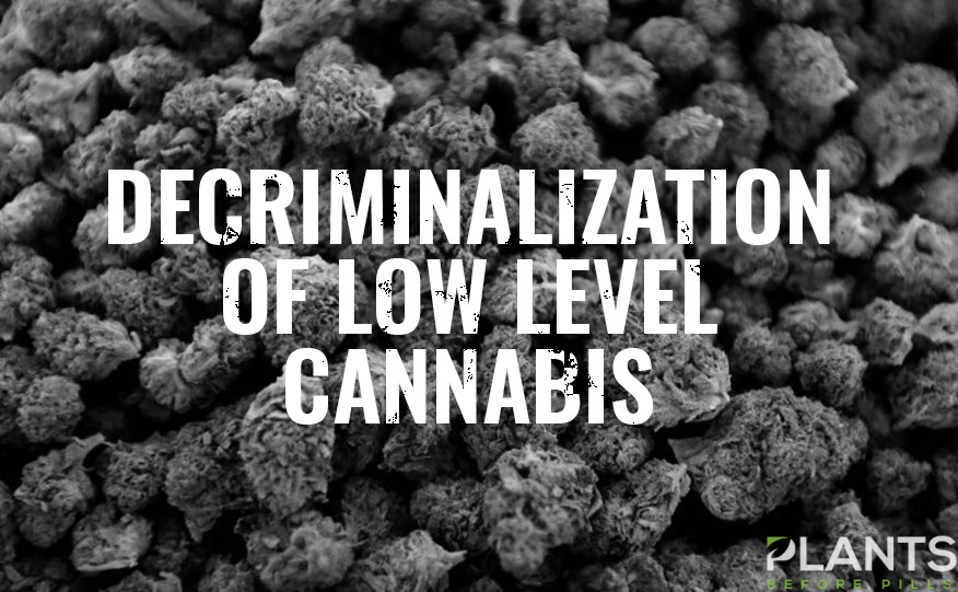 Low-Level Cannabis Decriminalization