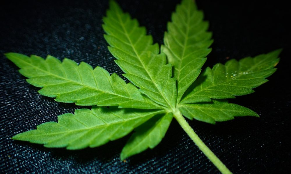 Green Acre Pharms Ponzi