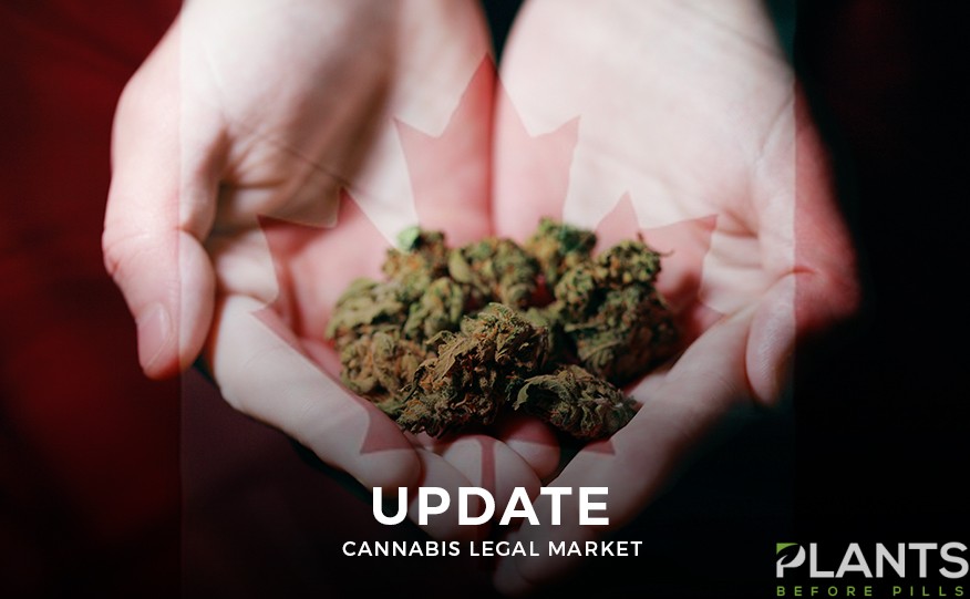 Cannabis Market in Canada - An Update