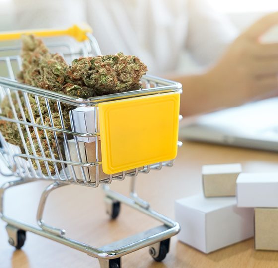 A Brief Guide to Buying CBD Online