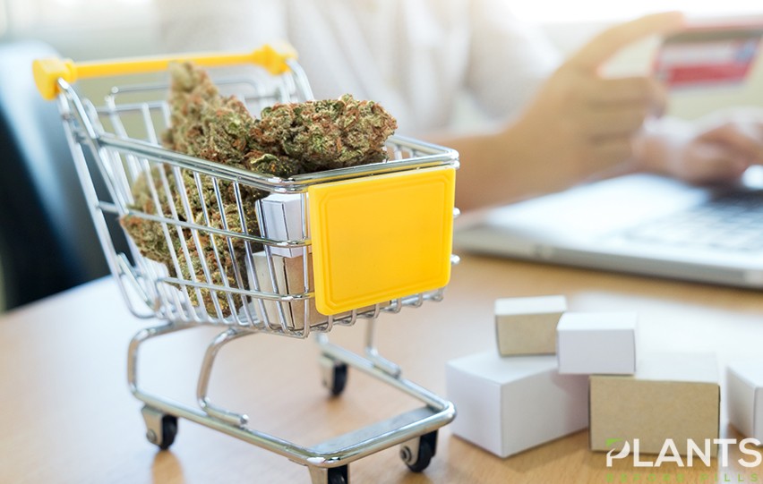 A Brief Guide to Buying CBD Online