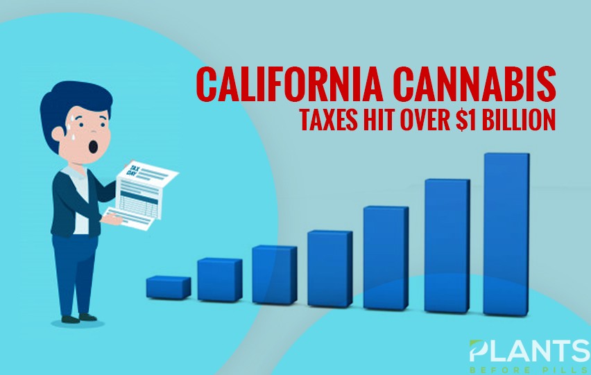 California Cannabis Taxes Hit Over $1 Billion