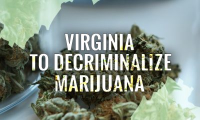Virginia Moves to Decriminalize Marijuana