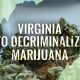 Virginia Moves to Decriminalize Marijuana