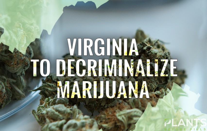 Virginia Moves to Decriminalize Marijuana