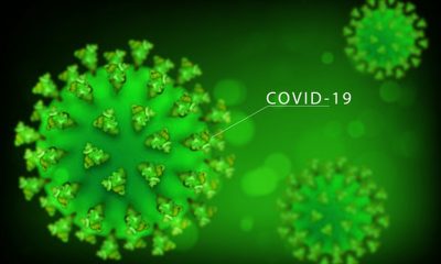 Here’s How to Use CBD Safely Amid COVID-19 Pandemic
