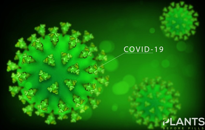 Here’s How to Use CBD Safely Amid COVID-19 Pandemic