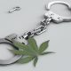 Las Vegas Police Seize $8.6 Million Worth of Cannabis Plants