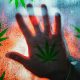 Life in Quarantine Coping with CBD, Cannabis