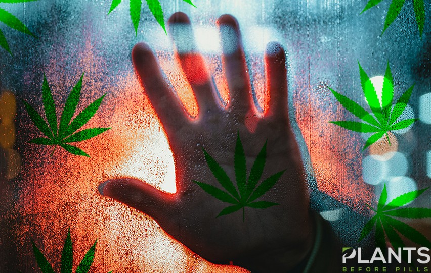 Life in Quarantine Coping with CBD, Cannabis