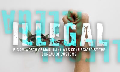 Cannabis, Marijuana, Nabbed in Clark, Pampanga