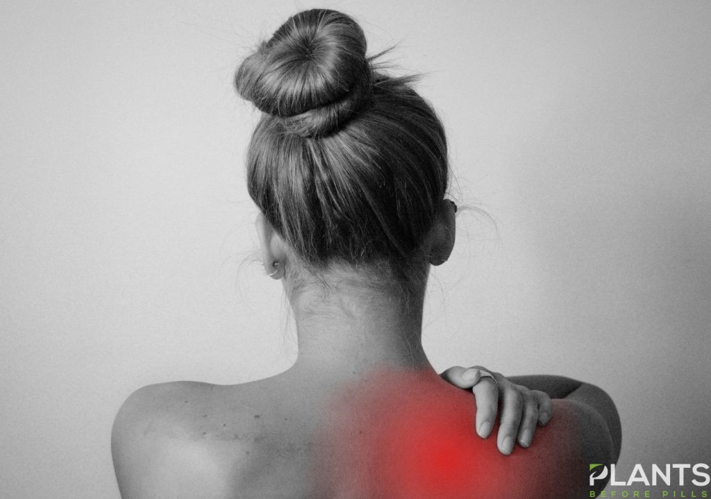 Back Pain and CBD