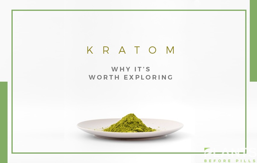 Kratom 4 Reasons Why It’s Worth Exploring
