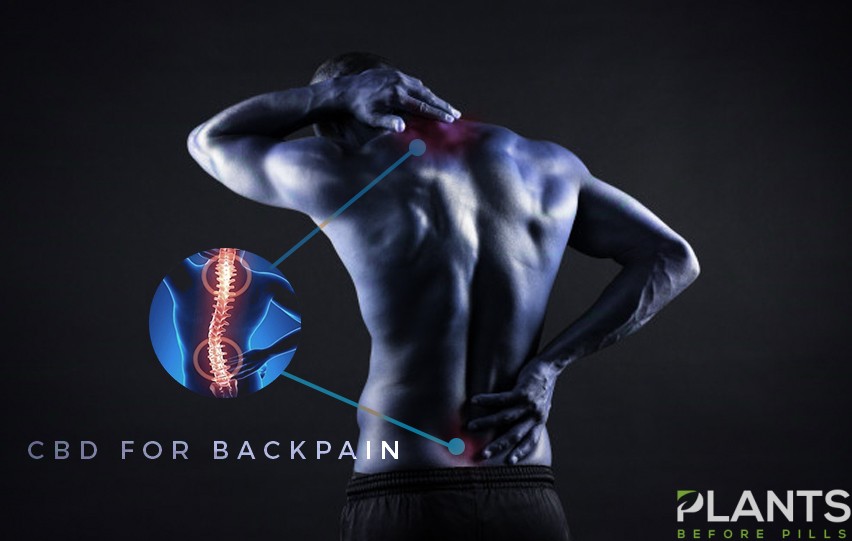 Why Consume CBD for Backpain Caused by the Pandemic