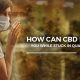 how cbd can help