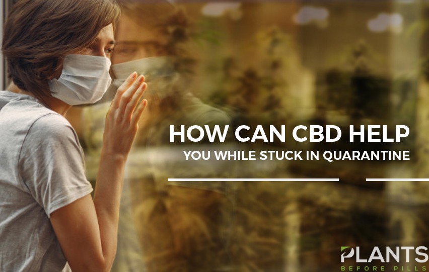 how cbd can help