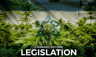 Cannabis Reforms Legislation