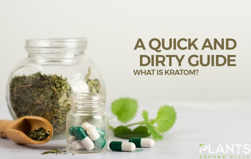 what is kratom - guide