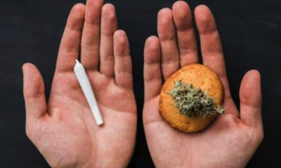 smoking versus eating cannabis