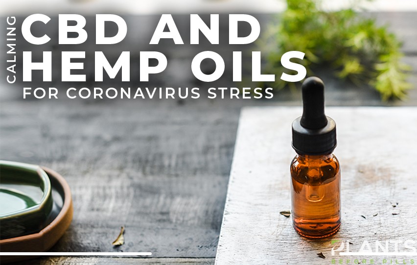 hemp oils