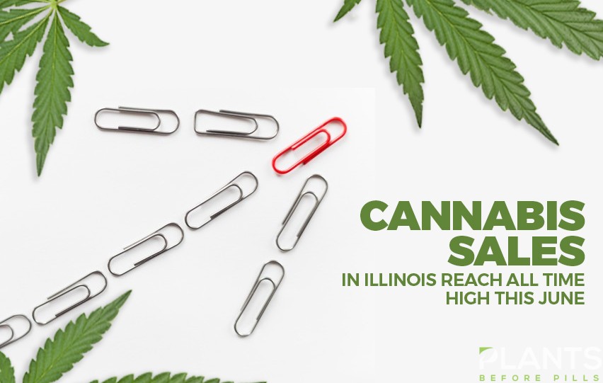 Cannabis Sales in IL