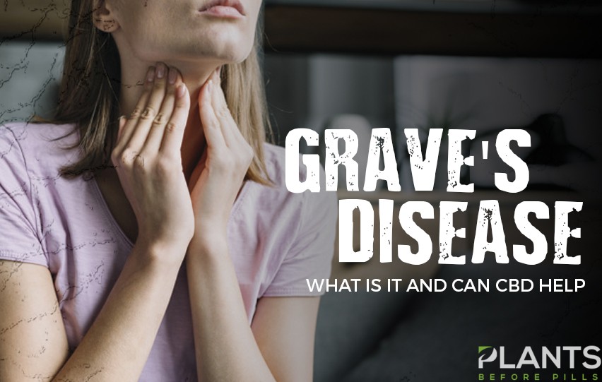 Grave’s Disease What is it and Can CBD Help? Plants Before Pills