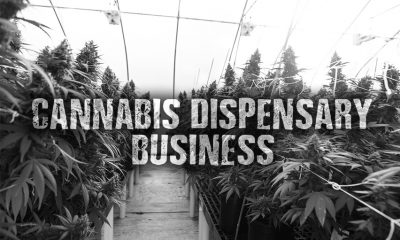 Cannabis Dispensary Business